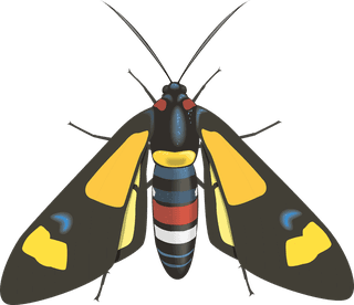 insectinsect-vector-cute-cartoon-503715