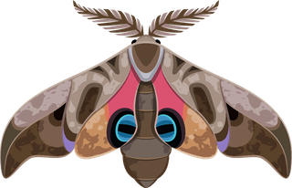 insectinsect-vector-cute-cartoon-889721