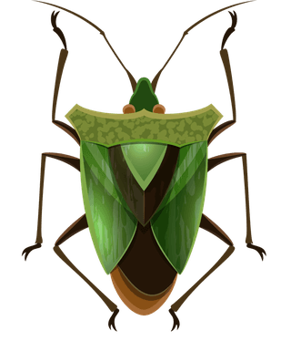 insectinsect-vector-cute-cartoon-530684