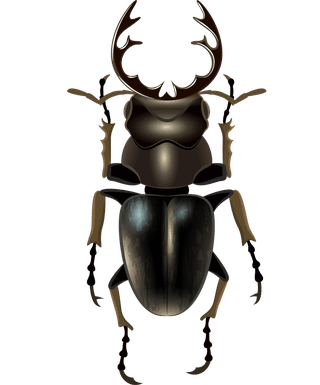 insectinsect-vector-cute-cartoon-691182