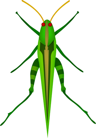 insectinsect-vector-cute-cartoon-984738