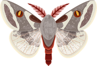 insectinsect-vector-cute-cartoon-134821