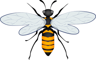 insectinsect-vector-cute-cartoon-360433