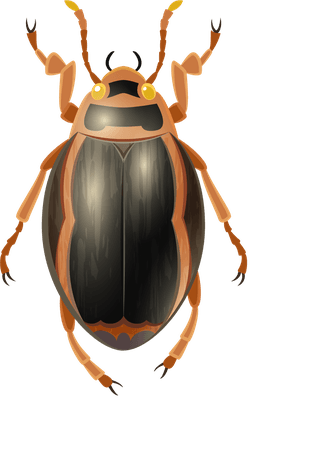 insectinsect-vector-cute-cartoon-105631