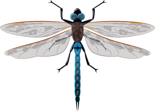 insectinsect-vector-cute-cartoon-629336