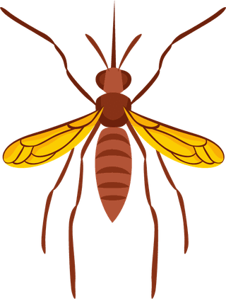 insectpest-control-icons-set-206558