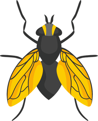 insectpest-control-icons-set-276287