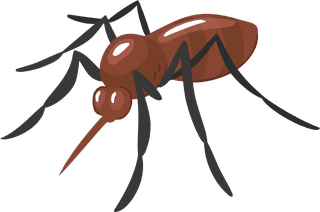 insectpest-control-service-team-removing-bugs-exterminating-853564