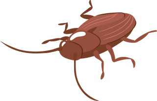 insectpest-control-service-team-removing-bugs-exterminating-895151