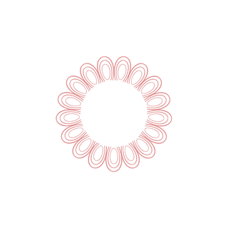 intricatefloral-mandalas-in-minimalist-style-with-delicate-linework-743084