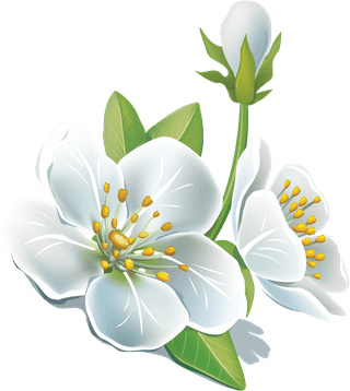 jasmineflower-honey-bee-vector-design-elements-387335