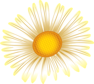 jasmineflower-vector-honey-bees-collected-540735