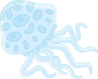 jellyfishanimal-english-alphabet-cartoon-vector-8991