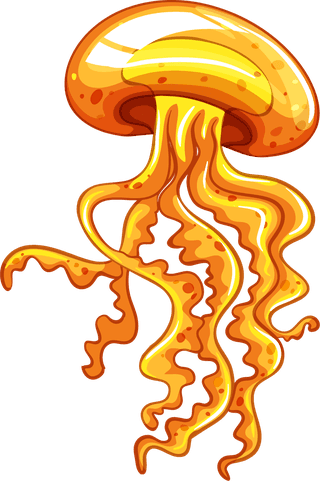 jellyfishdifferent-kinds-of-sea-animals-illustration-126570