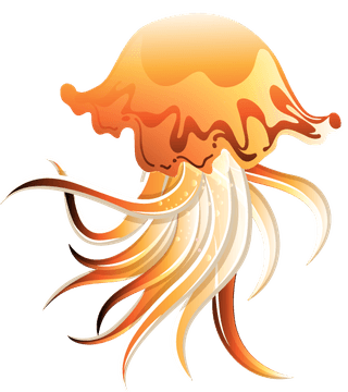 jellyfishicons-colorful-modern-design-139071