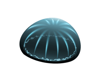 jellyfishjellyfish-icons-colorful-modern-design-8153