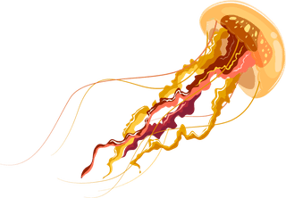 jellyfishsea-animals-icons-lobster-squid-jellyfish-octopus-sketch-697948