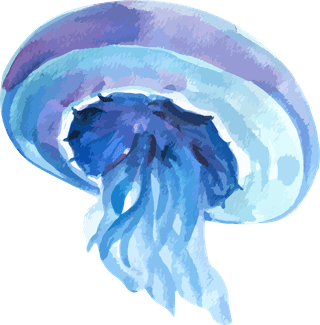 jellyfishset-isolated-watercolor-sea-animal-128587