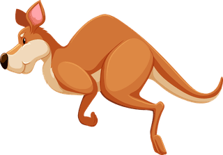kangarooset-of-australian-wild-animals-illustration-464285
