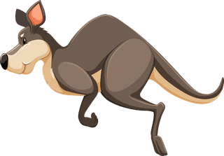 kangarooset-of-australian-wild-animals-illustration-27679