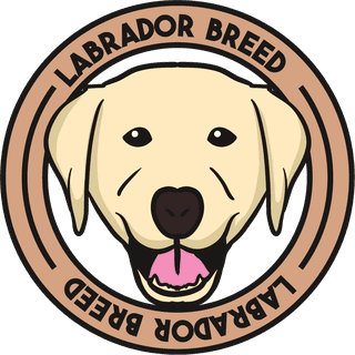 labradordog-cute-draw-beautiful-476099