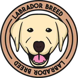 labradordog-cute-draw-beautiful-476099