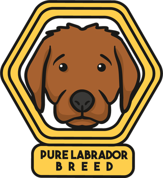 labradordog-cute-draw-beautiful-630246