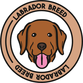 labradordog-cute-draw-beautiful-44039