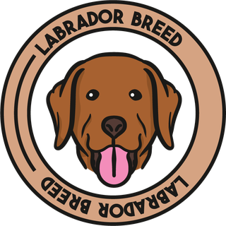 labradordog-cute-draw-beautiful-44039