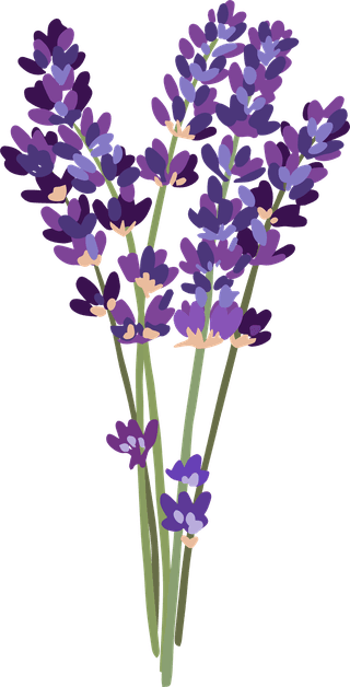 lavenilerspices-meadow-flowers-herbal-set-539670