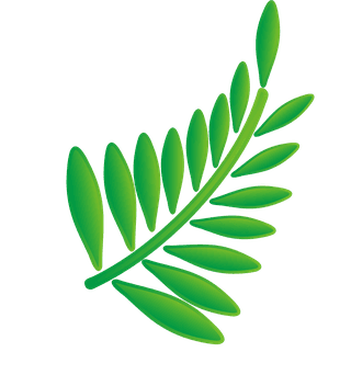naturalleaf-and-ecology-leaf-with-green-gradient-359184