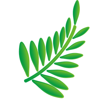 naturalleaf-and-ecology-leaf-with-green-gradient-359184