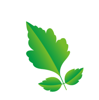 naturalleaf-and-ecology-leaf-with-green-gradient-354057