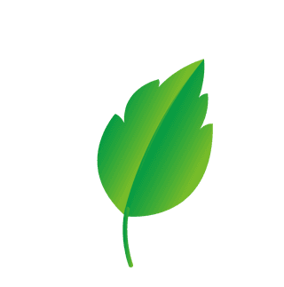 naturalleaf-and-ecology-leaf-with-green-gradient-348777