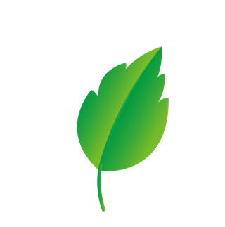 naturalleaf-and-ecology-leaf-with-green-gradient-348777