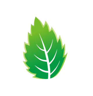 naturalleaf-and-ecology-leaf-with-green-gradient-361647