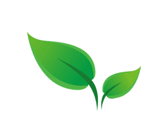 naturalleaf-and-ecology-leaf-with-green-gradient-335611
