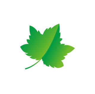 naturalleaf-and-ecology-leaf-with-green-gradient-327427