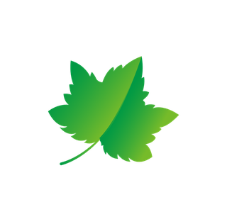 naturalleaf-and-ecology-leaf-with-green-gradient-327427