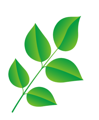 naturalleaf-and-ecology-leaf-with-green-gradient-374571
