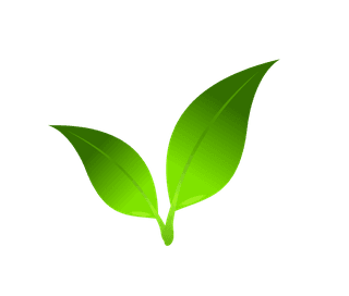 leaflogo-green-leaf-icons-583109