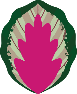 leafplants-bontanical-vector-cover-250878