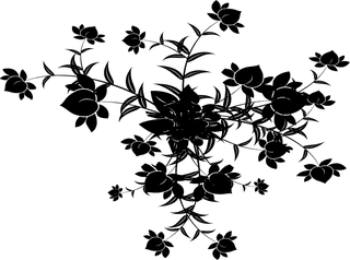 leavesflowers-branches-and-swirls-large-collection-of-634772
