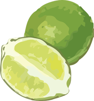lemonadeavocado-halved-vector-fruit-830683