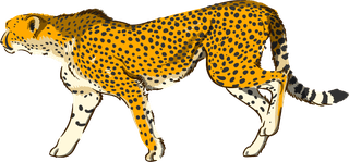 leopardrealistic-hand-drawn-wild-animals-380621