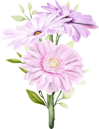 littleflower-watercolor-chrysanthemum-set-534174