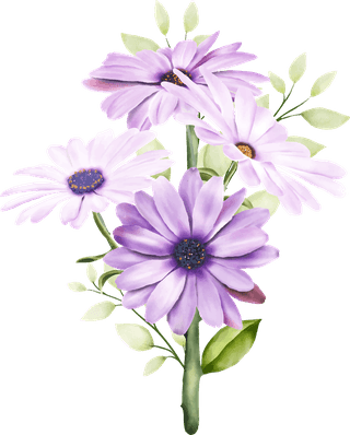 littleflower-watercolor-chrysanthemum-set-347366