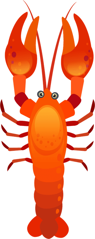 lobstershrimp-icons-collection-colorful-shapes-sketch-796930