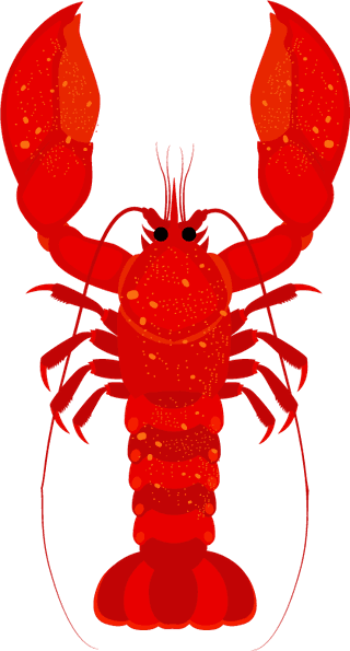 lobstershrimp-icons-collection-colorful-shapes-sketch-141901