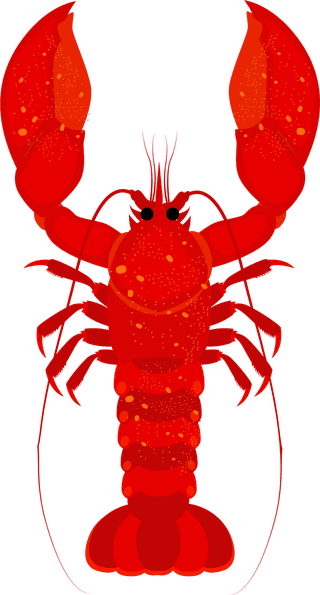 lobstersummer-banner-sea-travel-elements-decor-842127